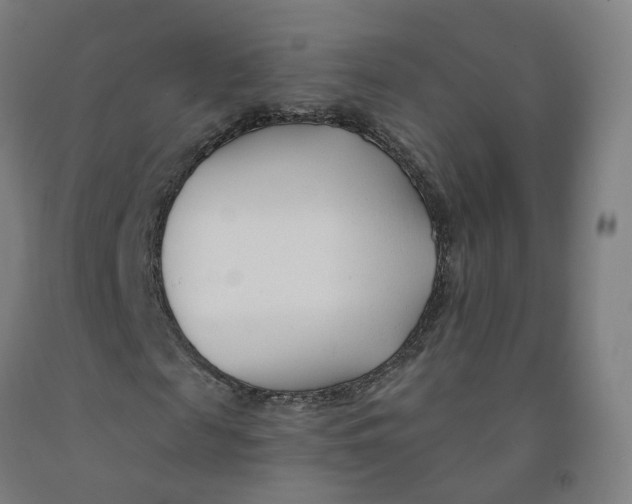 X0000091990817200709271445