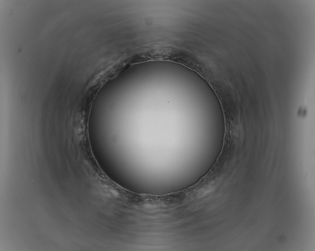 X0000091990818200709271445