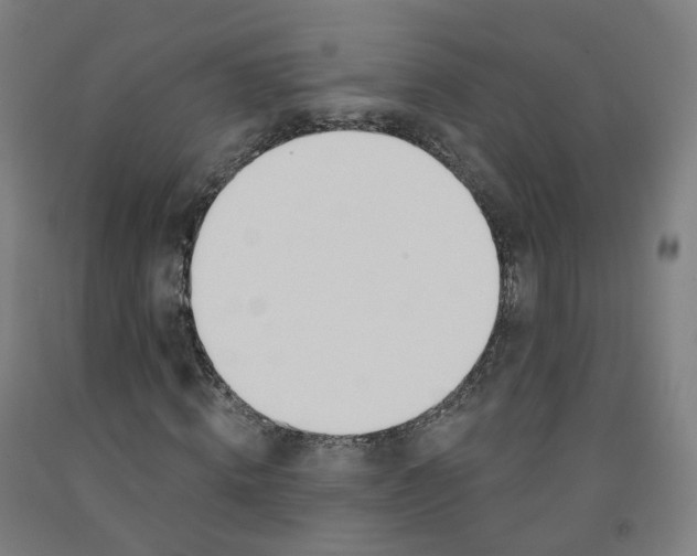 X0000091990820200709271445