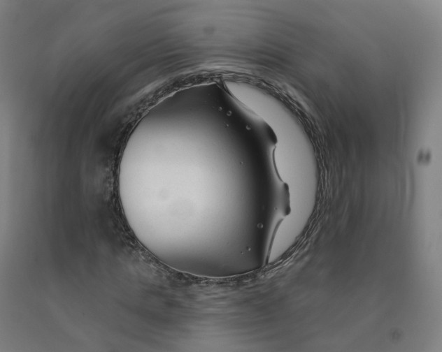 X0000091990821200709271446