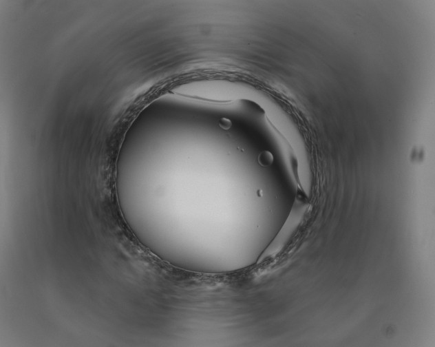 X0000091990822200709271446