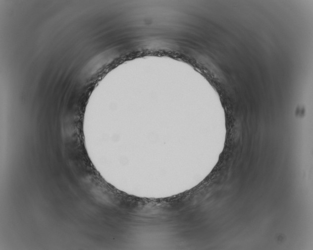 X0000091990824200709271446