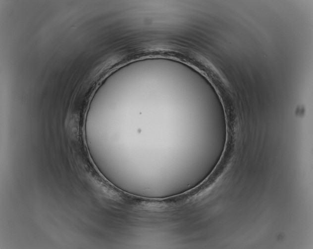 X0000091990825200709271446