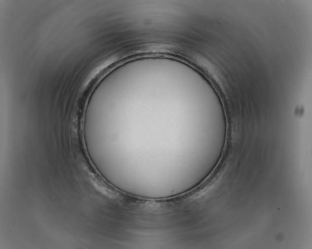 X0000091990827200709271446