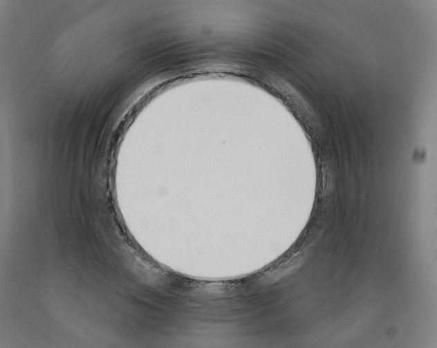 X0000091990828200709271446