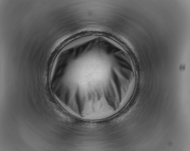 X0000091990829200709271446