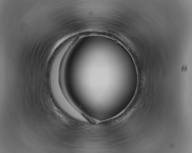 X0000091990830200709271446