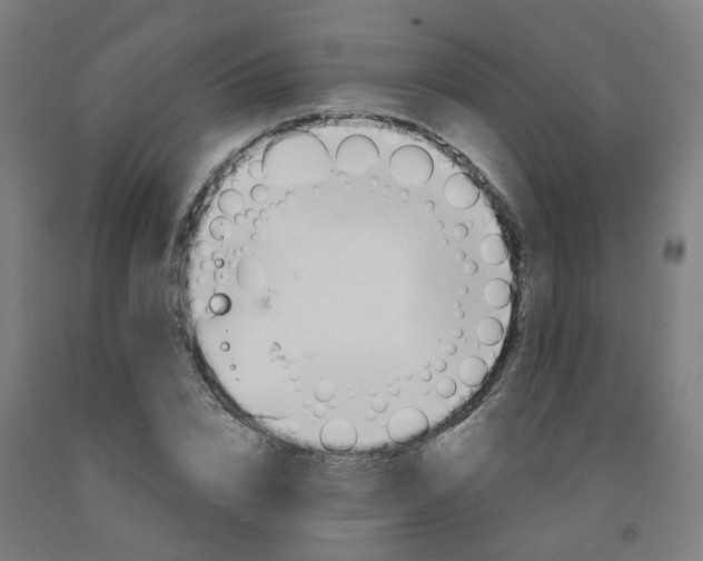 X0000091990832200709271446