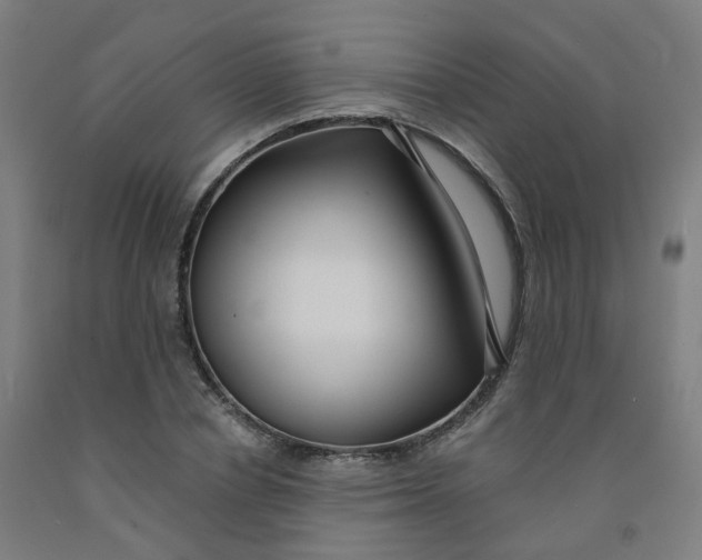 X0000091990834200709271446