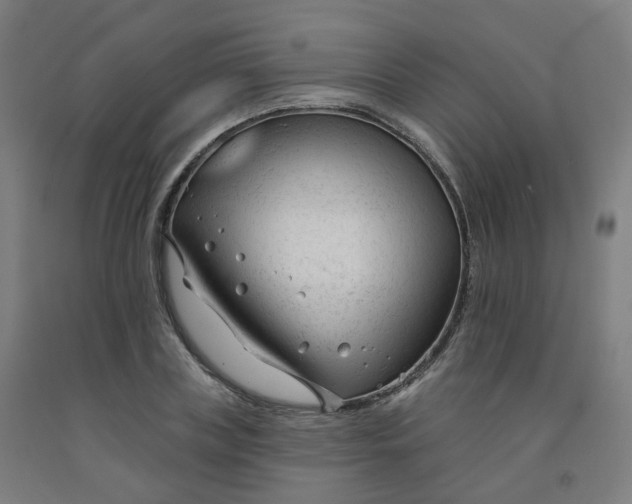 X0000091990835200709271446