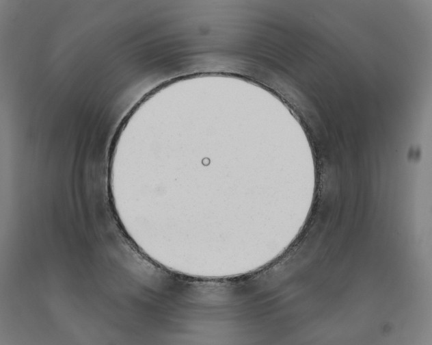 X0000091990836200709271446