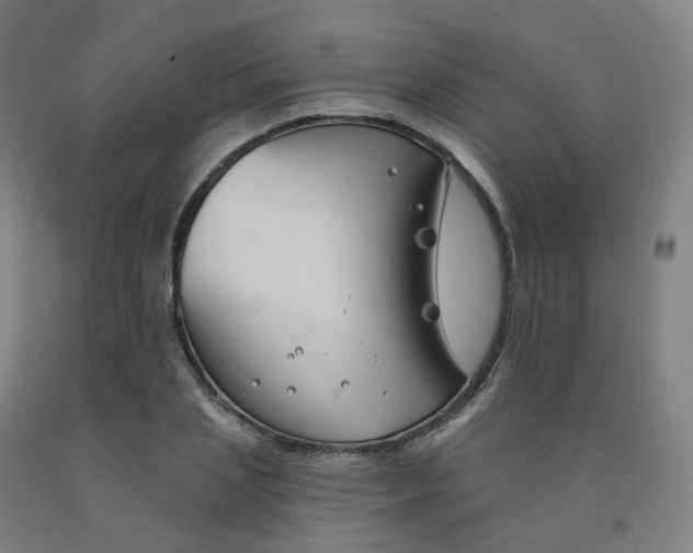 X0000091990837200709271446