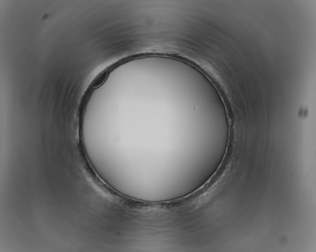 X0000091990838200709271446