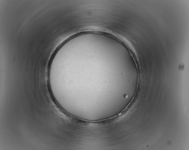 X0000091990839200709271446