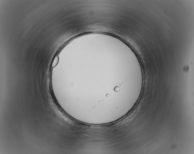 X0000091990840200709271446