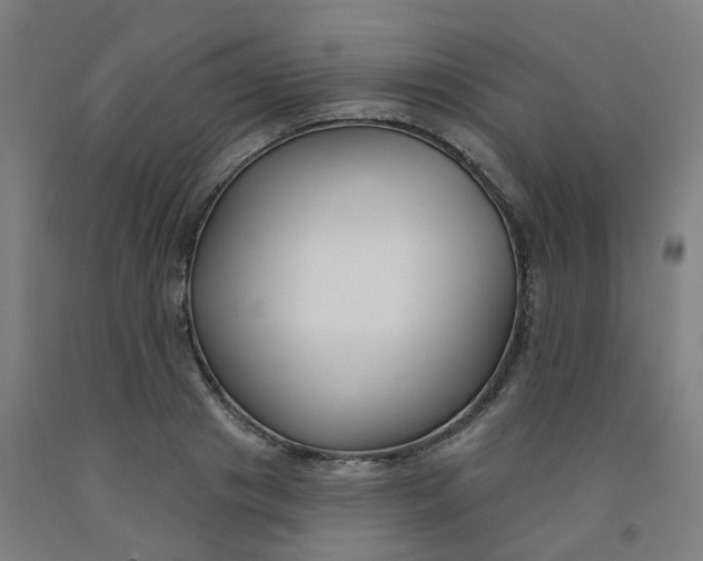 X0000091990841200709271446