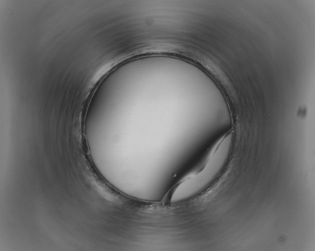 X0000091990842200709271446