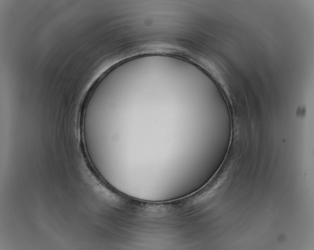 X0000091990843200709271446