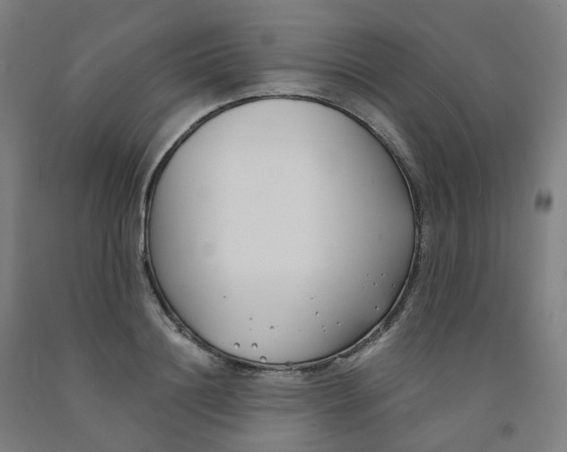 X0000091990844200709271446