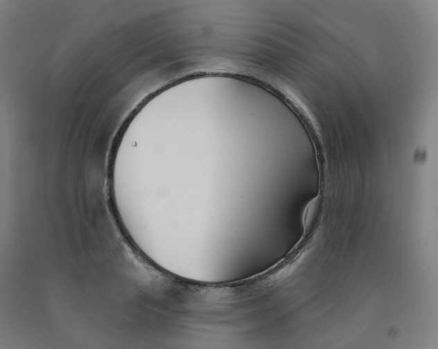 X0000091990845200709271446