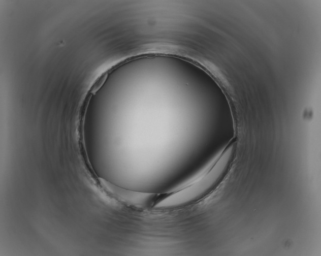 X0000091990846200709271446