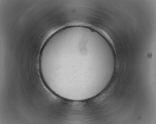 X0000091990847200709271446