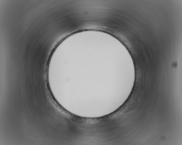 X0000091990848200709271446