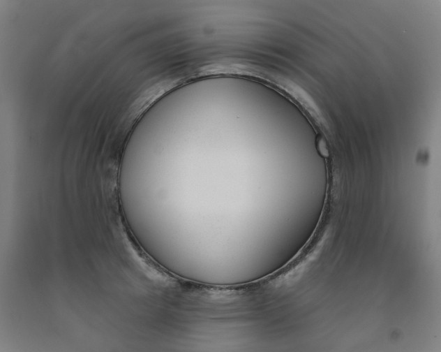 X0000091990849200709271446