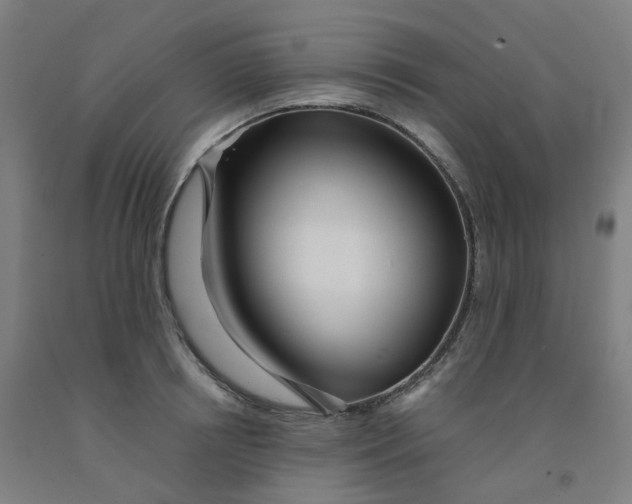 X0000091990850200709271446