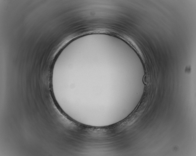 X0000091990851200709271446