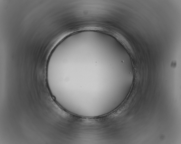 X0000091990852200709271446