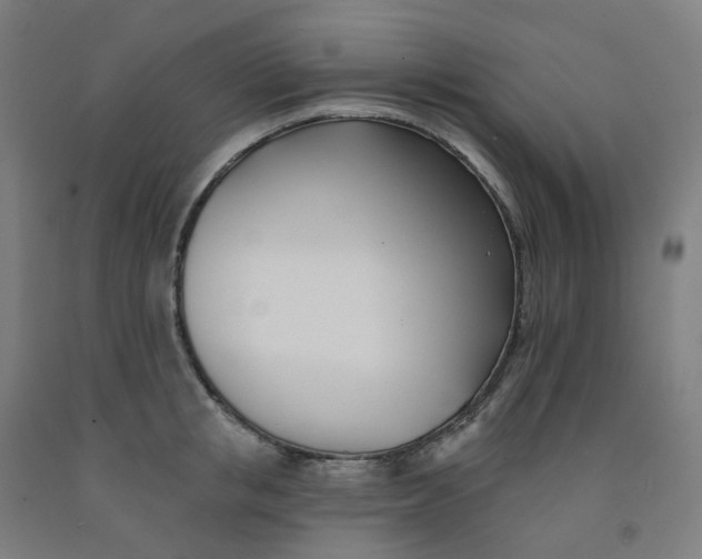 X0000091990853200709271446