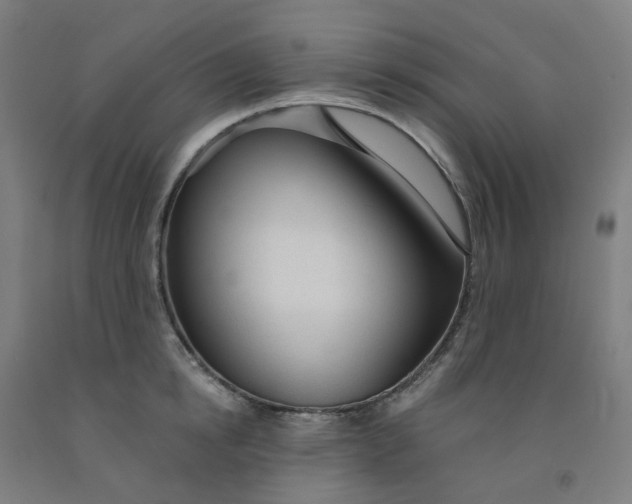 X0000091990854200709271446