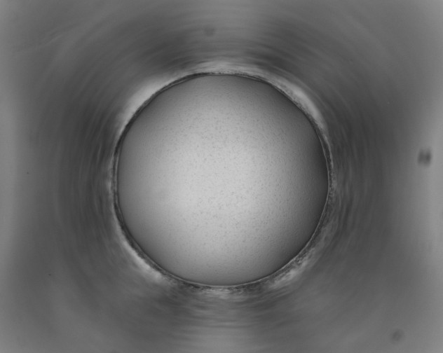 X0000091990855200709271446