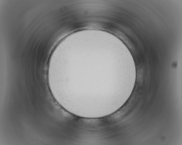 X0000091990856200709271446