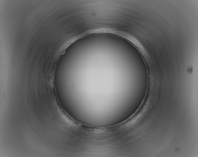 X0000091990857200709271446