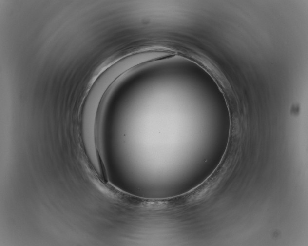 X0000091990858200709271446