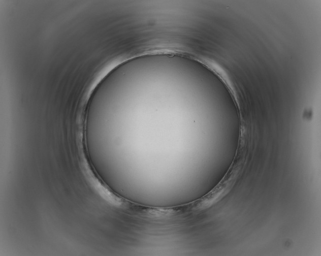 X0000091990859200709271446