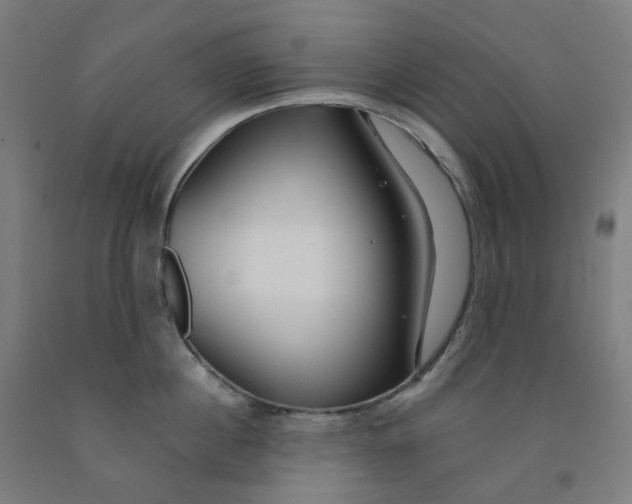 X0000091990860200709271446