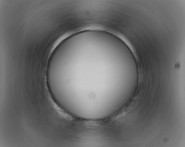 X0000091990861200709271446