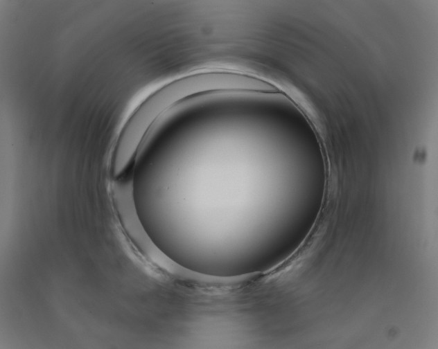 X0000091990862200709271446