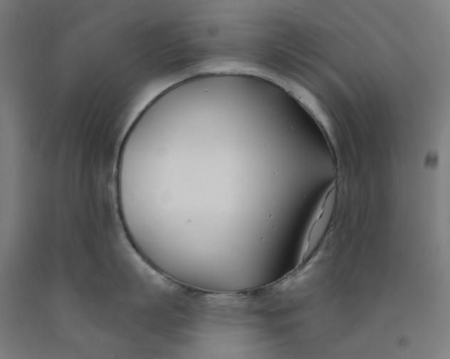 X0000091990863200709271446