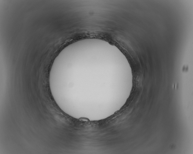 X0000091990865200709271445