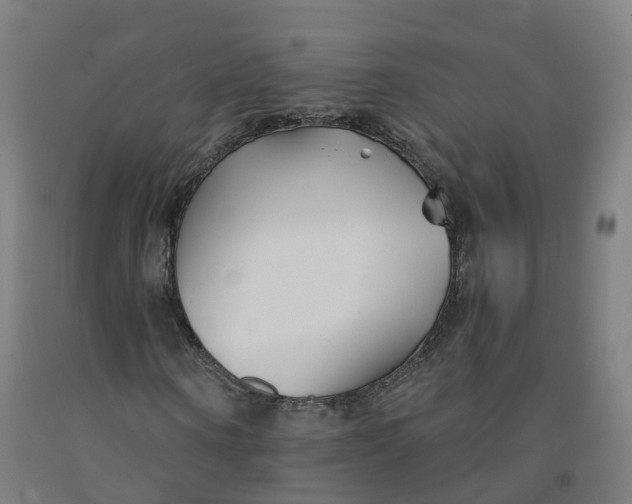 X0000091990866200709271445