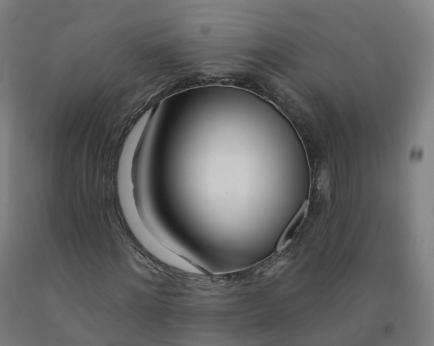 X0000091990868200709271445