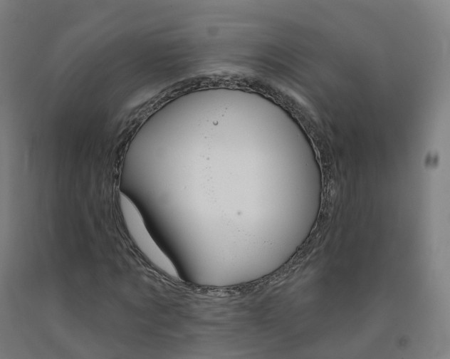 X0000091990869200709271445