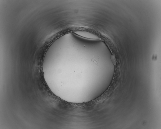 X0000091990870200709271445