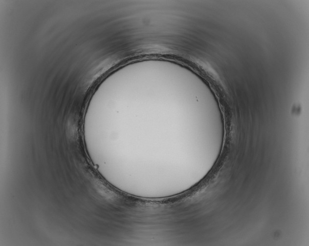 X0000091990873200709271445