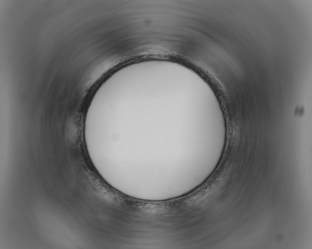 X0000091990874200709271445