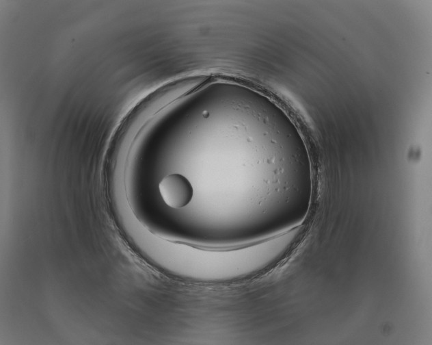 X0000091990876200709271445